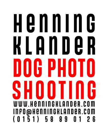 Hunde-Shooting für alle!