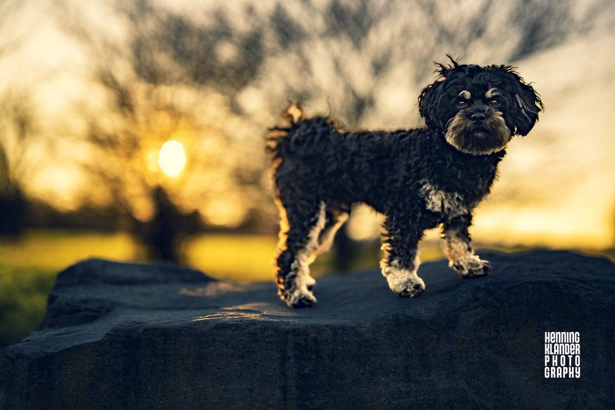 When the sun shines …