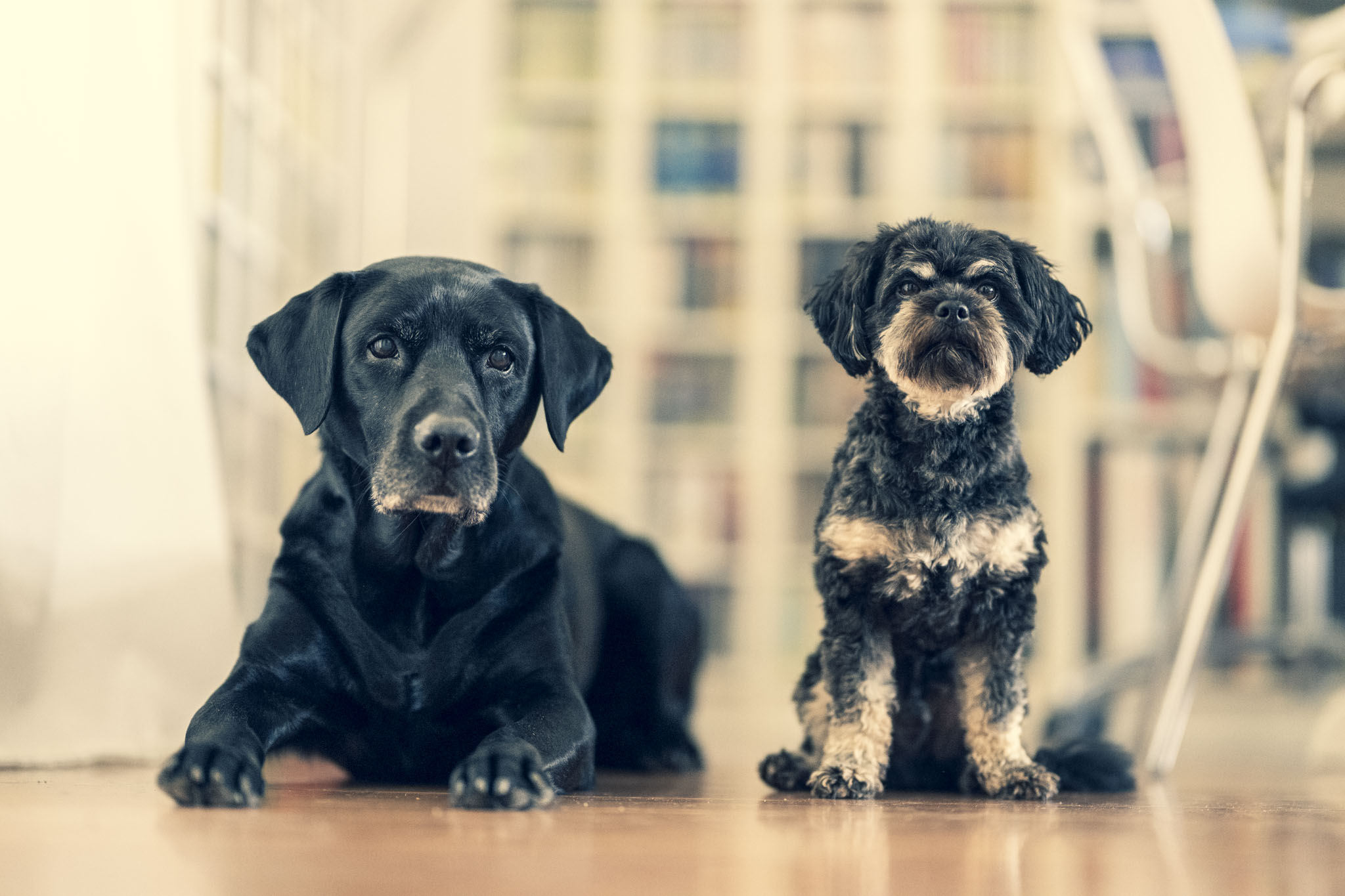 Ein Herz und eine Seele