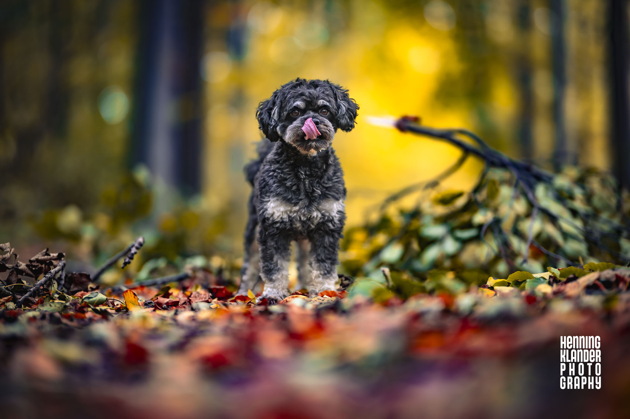 Herbstfarben, Herbststürme