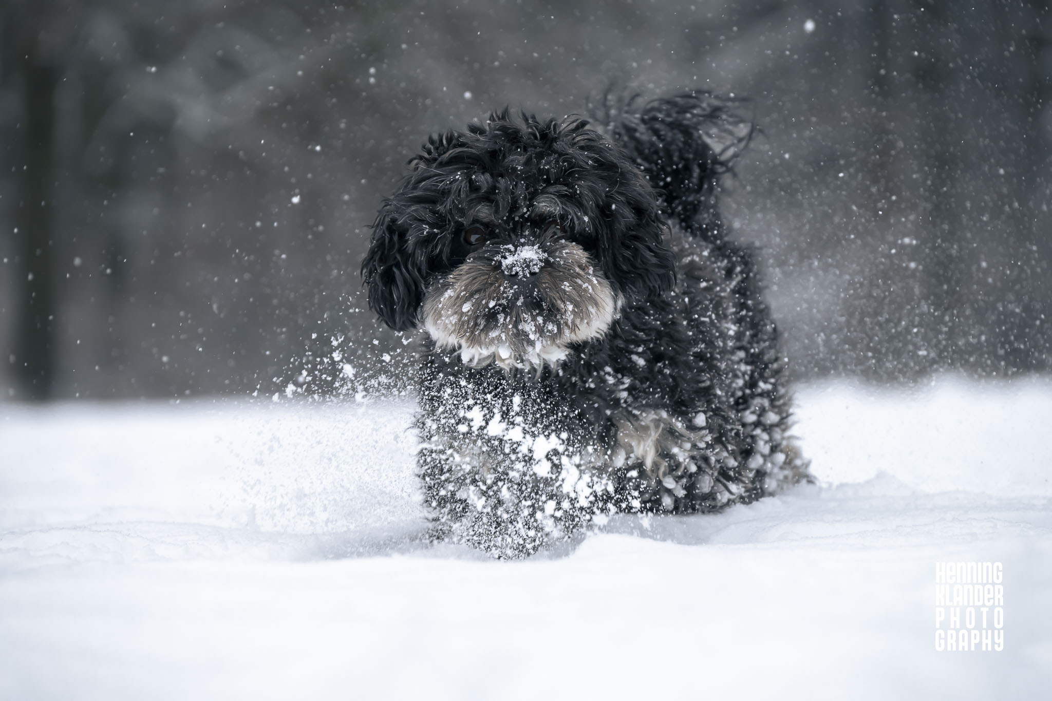 Der Yeti ist gefunden!